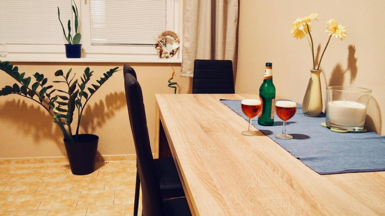 Cozy Apartment At River Labe Near Center And Train Ústí nad Labem Esterno foto